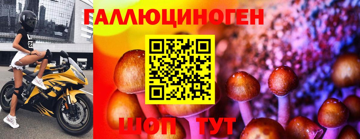 Галлюциногенные грибы MAGIC MUSHROOMS  Псилоцибиновые грибы GOLDEN TEACHER  Вход с VPN  Ленинск-Кузнецкий 